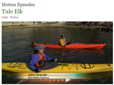 Livewell Network At Point Reyes National Seashore And Bwk Blue Waters Kayaking Point Reyes